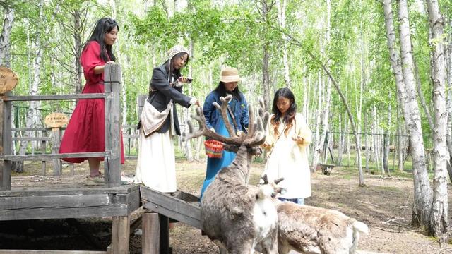 额尔古纳文旅焕发新活力：新业态赋能沉浸式体验，全链条服务护航安心旅程