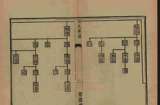一个漂泊海外381年的家族，到中国认祖归宗，族谱：是中国人