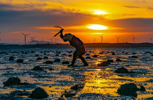 解锁湛江宝藏海岛！坐拥上万亩“天空之境”赶海胜地