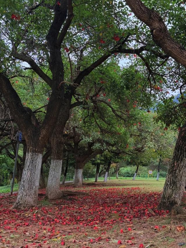 刚从温州回来，毫不夸张的说：未来最有闯劲的城市肯定是温州