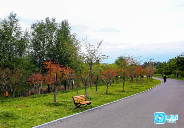 浞景无边，快乐亦无边~