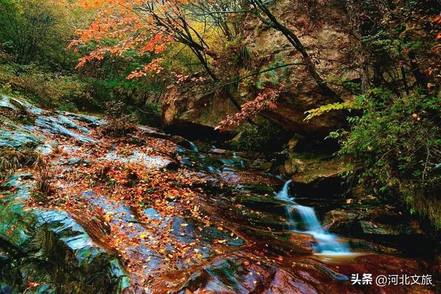 秋日必冲的保定“天然氧吧”出炉，每个都是国家级秘境