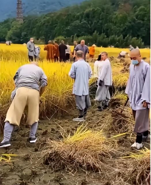 顺藤摸瓜！上任仅8天，官媒出手，揭开释印乐真实人品，字字珠玑