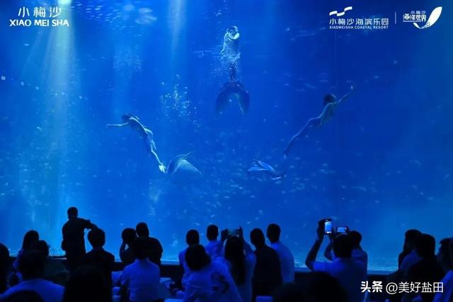 反向旅游，你不知道深圳的海有多绝