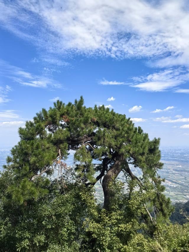 结缘南五台：三十多年，一人一家与南五台山的情缘