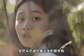 《错位》：杀害江娜的真正凶手，不是顾己鸣，而是富家女图片