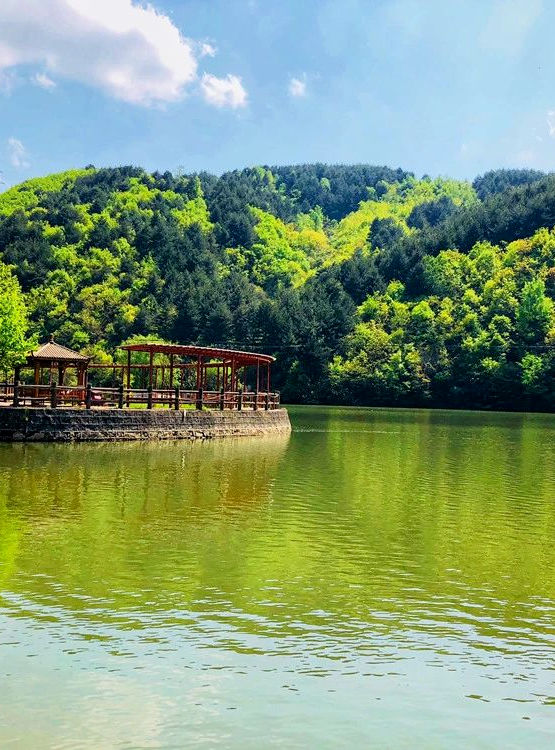 逃离热浪！汉中这些宝藏避暑旅游目的地，藏着最惬意的夏日清凉~