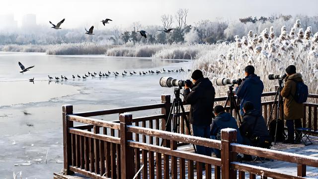 霜染庐州冬韵起，山湖叠翠入诗行 —— 安徽合肥初冬漫游记