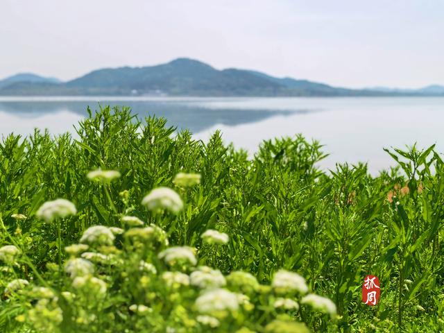 溧阳大溪水库环线风景如画，班味全无