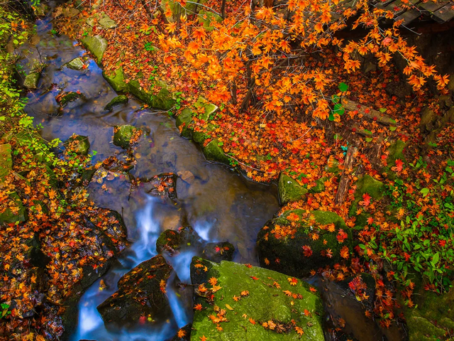 这样的济南，第一次见！