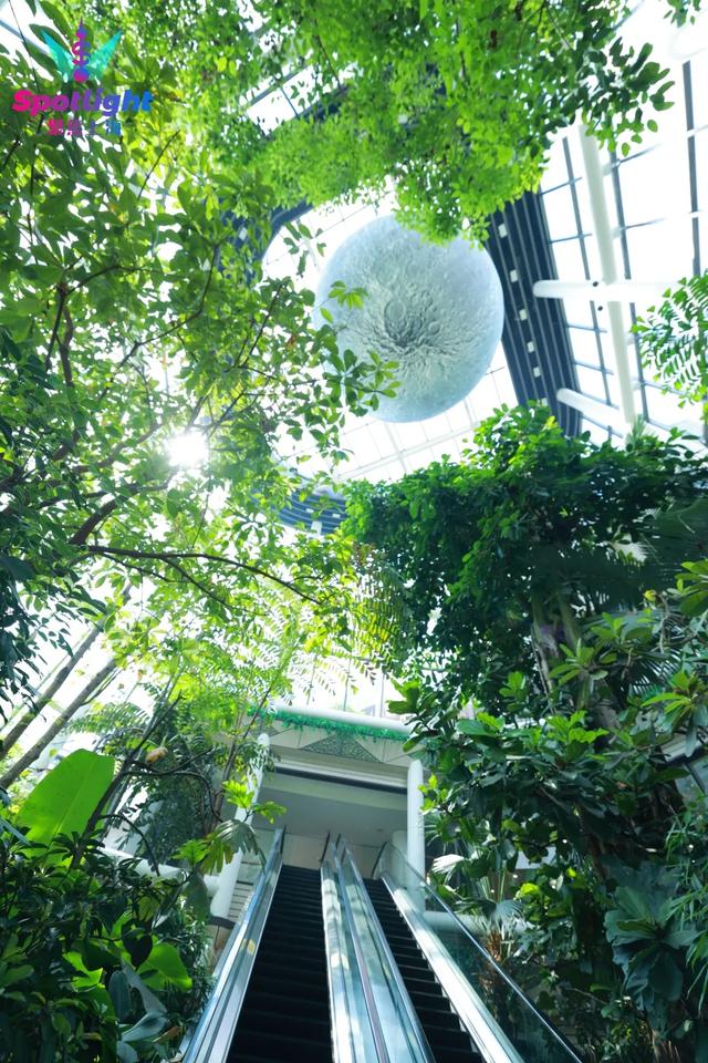 迪士尼冰雪奇缘夏雪节落地上海 南翔印象城MEGA开启夏日奇幻盛宴