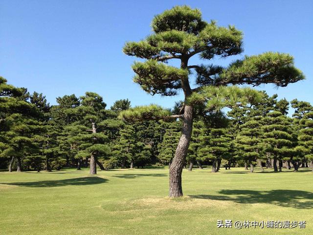 两性关系：男人过65岁，基本上都会有如下现状，具体表现是这样的