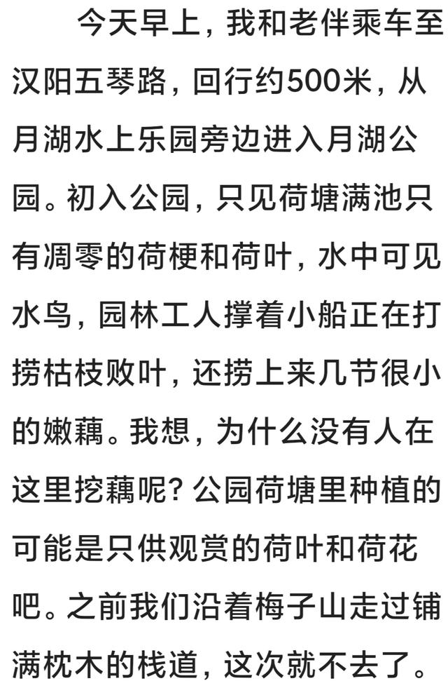 行走在月湖公园