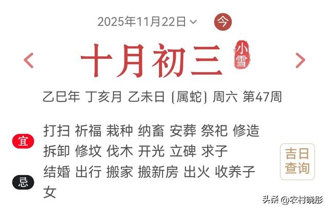 明日小雪！老话“小雪不下雪，大雪满天飞”，冷冬暖冬？答案来了