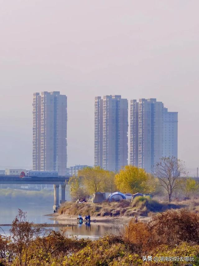 公交直达冬日限定“小东非”，带娃解锁长沙safari隐藏玩法！