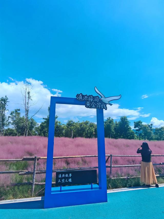 溜进后海看粉黛乱子草花海，哈哈，好开心