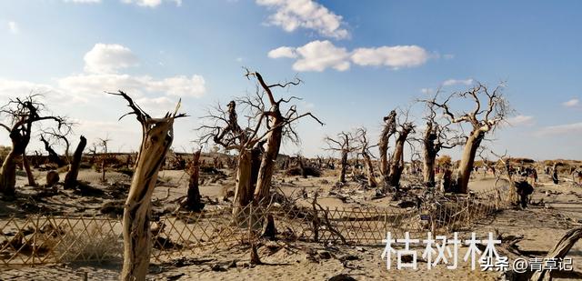 穷游15天（20）15天玩了20多个景点消费3385元