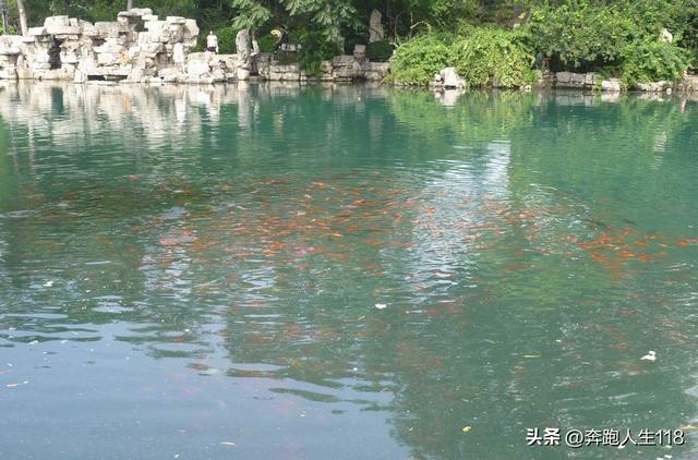 夏日炎炎，泉城戏水，不辞长作济南人