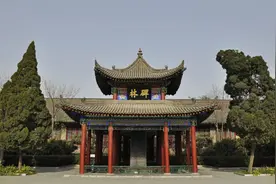 家住碑林——此生何德，在而立之年懵懂间成为宝地西安碑林的居民图片