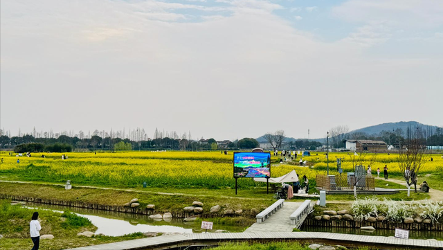 南北湖踏春，穿梭于依山傍水的油菜花海！