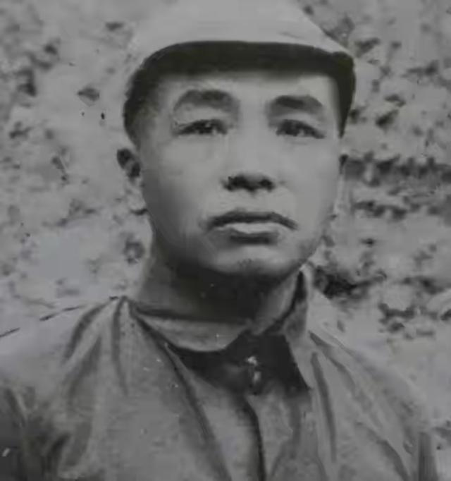 晚年坐在轮椅上的彭总