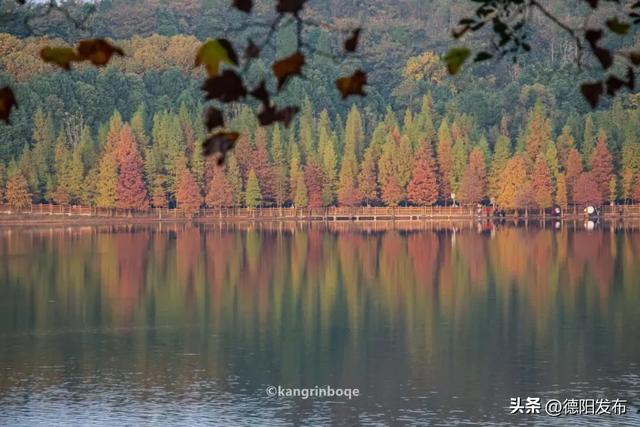 最新实拍!德阳东湖山都美成啥样了啊?太夸张了