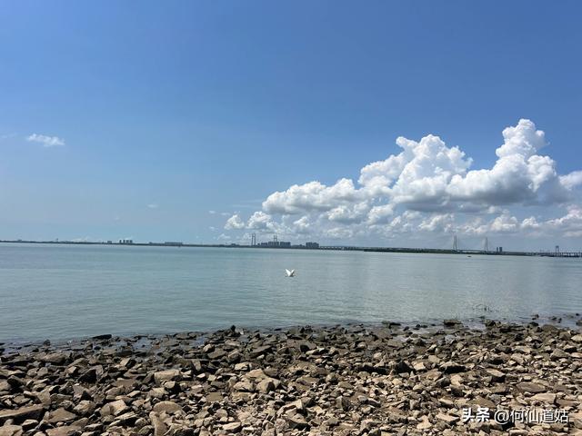 游南沙海滨公园