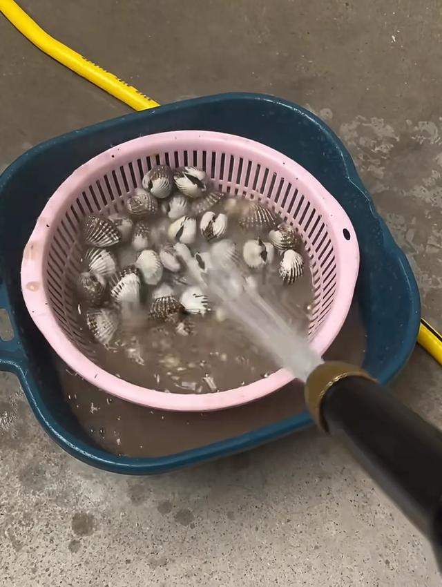 2025的劳模奖，颁发给这些家电，小众，但真的非常推荐！