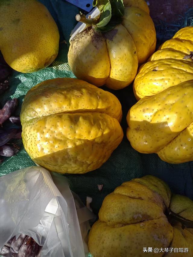 常年自驾跑遍全国，托付亲哥办件小事竟出错，老话说的果然没错！