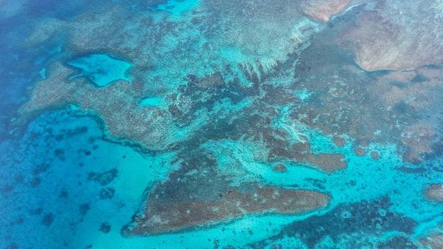 忍耐1天	，解放军增兵南海，日本导弹覆盖北京，不准中国建保护区