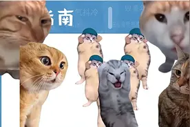 青年话题｜用“小猫”来记录生活，这届年轻人正在拍一种很新的Vlog图片
