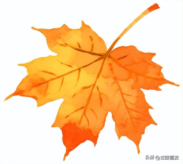 好客山东好品山东| 临沂的秋天，这10处绝美打卡地别错过！先收藏慢慢逛~