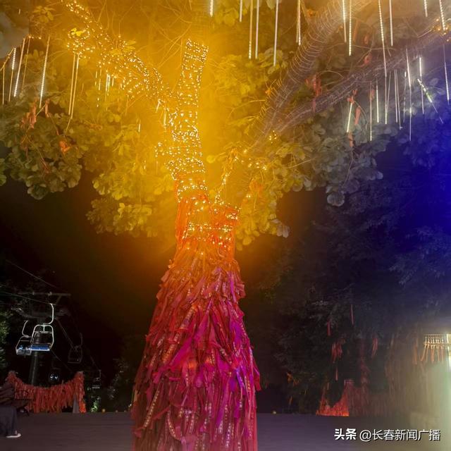 来净月潭乘星空缆车 体验“林海星河”浪漫之旅