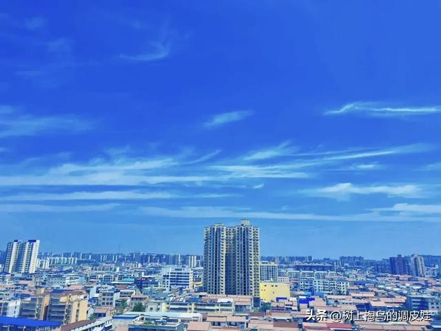 金秋打卡中国商丘华商节，共赴商业文明新征程