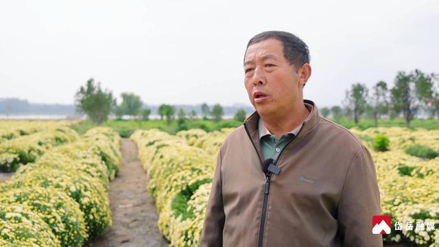 文化中国行丨寒露时节探访大汶口镇：文旅焕彩魅力奔涌