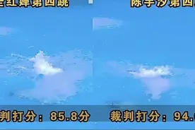 全红婵仅获得亚军的原因披露 现场多画面对比 打8分的裁判被冤枉了图片