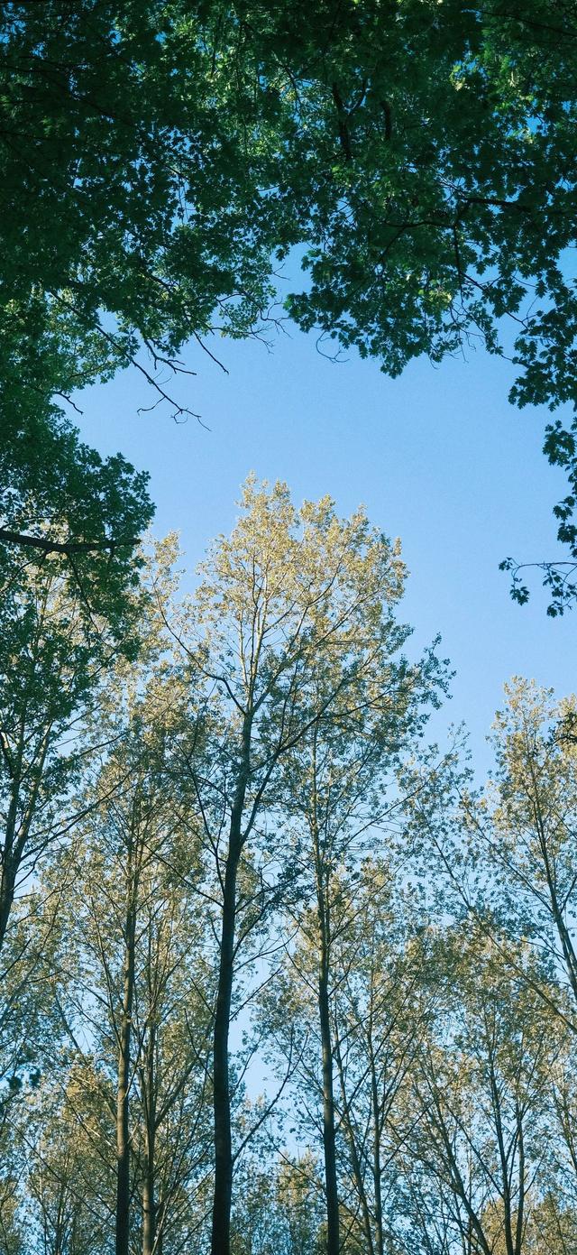 手机壁纸|风景