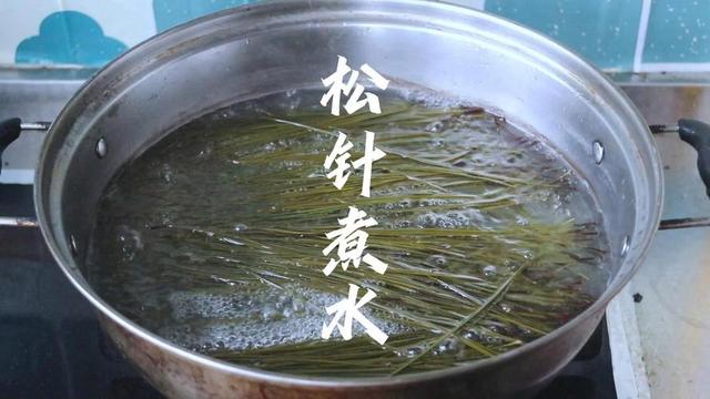 马尾松叶子叫松针，农村随处可见没人要，没想到有6大厉害妙用