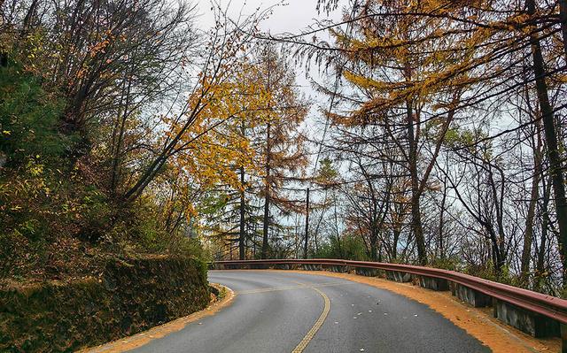 2024深秋四川行19 神农架风景区2 华中屋脊的五彩秘境