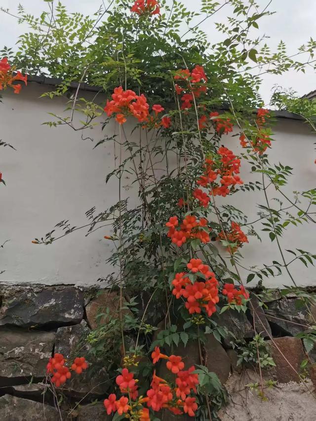 旅游的乐趣之一——结交更多的知己好友