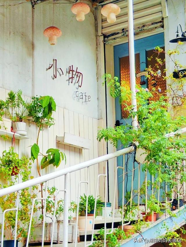 1h车程，带娃在这里挖到“宫崎骏同款夏天”！