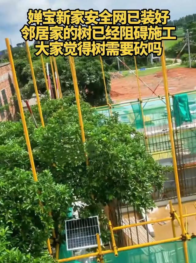 全红婵建房最新进展，邻居需求太苛刻，律师出狠招！婵宝有麻烦？