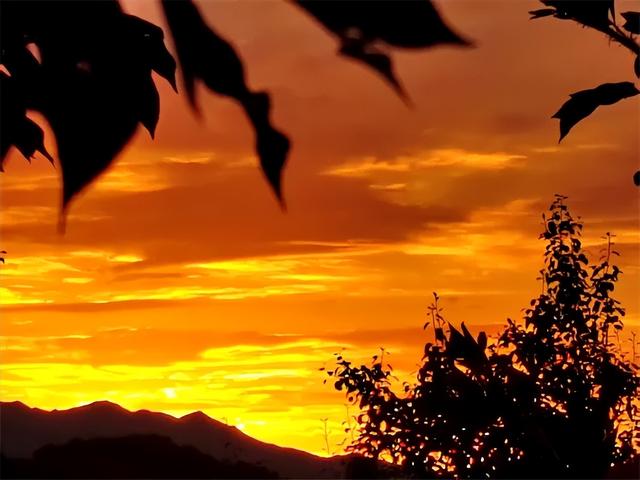 邂逅浪漫秘境 拥抱灵气氧吧