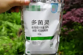 多菌灵单用=白打！多菌灵配这三种！病虫害三天全灭图片