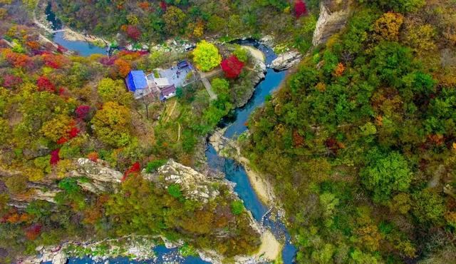 答应我，这个秋天一定要来日照！