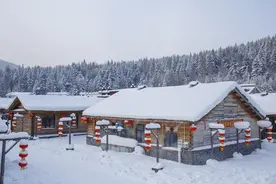 近现代东北文学发生的历史源流图片