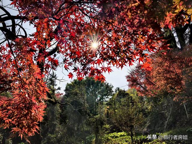 真是醉了，徒步奉化东西岙徐凫岩看悬崖飞瀑堵人竟然堵到怀疑人生