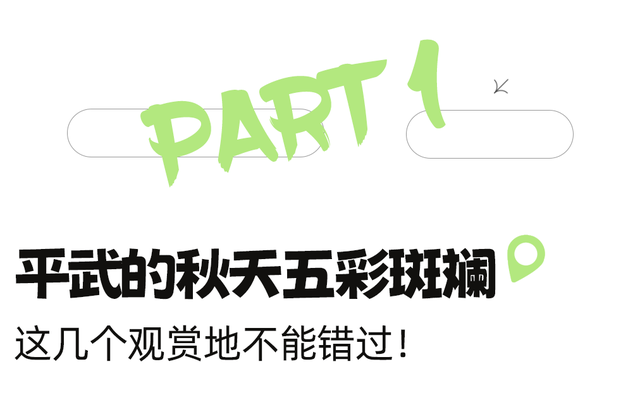 正式通车！全线免费！新挖赏秋天花板小城，绝美彩林不输九寨！地道美食50元吃爽！