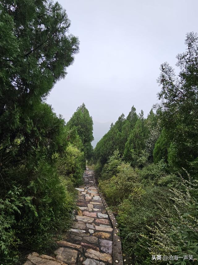 向大山出发，探索大山的奥秘，享受大山的氧吧，观赏大山的美景