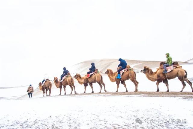 大漠敦煌2025年初冬雪景美如画